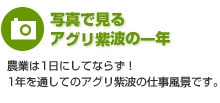 写真で見るアグリ紫波の1年